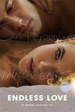 Watch Endless Love Myflixer
