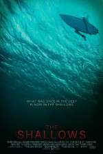 Watch The Shallows Myflixer