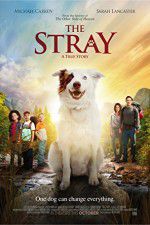 Watch The Stray Myflixer