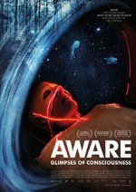Watch Aware: Glimpses of Consciousness Myflixer