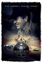 Watch Shelby American Myflixer