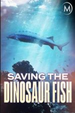 Watch Saving the Dinosaur Fish Myflixer