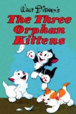Watch Three Orphan Kittens Myflixer