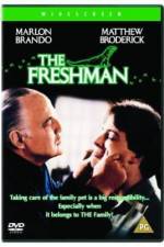 Watch The Freshman Myflixer