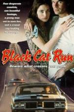 Watch Black Cat Run - Tödliche Hetzjagd Myflixer
