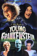Watch Young Frankenstein Myflixer