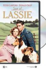 Watch Son of Lassie Myflixer