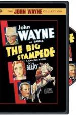 Watch The Big Stampede Myflixer