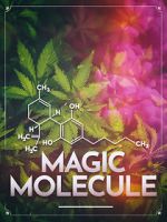 Watch Magic Molecule Myflixer