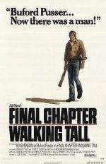 Watch Final Chapter: Walking Tall Myflixer