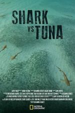 Watch Shark vs Tuna Myflixer