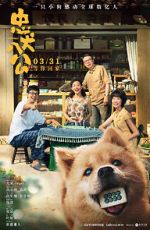 Watch Hachiko Myflixer