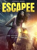 Watch The Escapee Myflixer