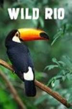 Watch Wild Rio Myflixer