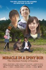 Watch Miracle in Kasama Myflixer