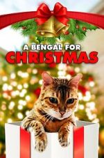 Watch A Bengal for Christmas Myflixer
