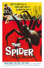 Watch The Spider Myflixer