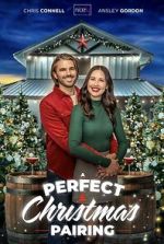 Watch A Perfect Christmas Pairing Myflixer