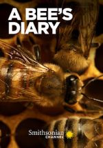 Watch A Bee\'s Diary (TV Special 2022) Myflixer