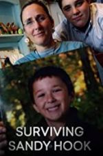 Watch Surviving Sandy Hook Myflixer