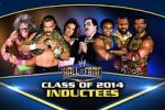Watch WWE Hall of Fame Myflixer