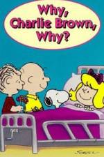 Watch Why Charlie Brown Why Myflixer