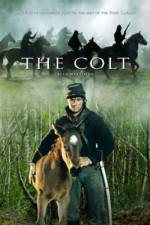 Watch The Colt Myflixer
