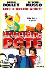 Watch Hatching Pete Myflixer