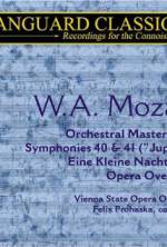 Watch Whiteforce Myflixer