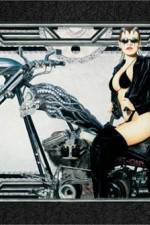 Watch Run Angel Run Myflixer