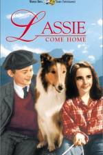 Watch Lassie Come Home Myflixer