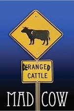 Watch Mad Cow Myflixer