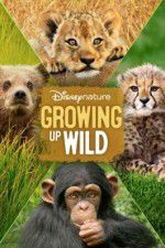 Watch Growing Up Wild Myflixer