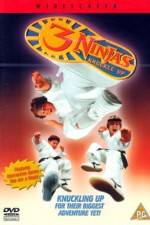Watch 3 Ninjas Knuckle Up Myflixer