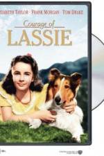 Watch Courage of Lassie Myflixer