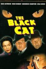 Watch The Black Cat Myflixer