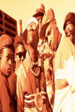 Watch Public Enemy: Prophets Of Rage Myflixer