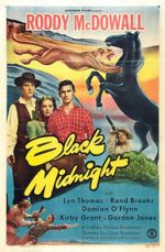 Watch Black Midnight Myflixer