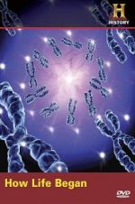 Watch How Life Began Myflixer