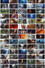 Watch The Tree of Life Myflixer