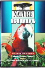 Watch PBS Nature - Extraordinary Birds Myflixer