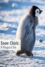 Watch Snow Chick: A Penguin's Tale Myflixer
