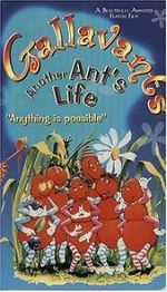 Watch Gallavants Myflixer