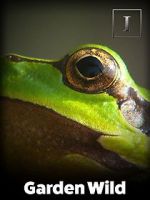 Watch Garden Wild! Myflixer