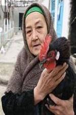 Watch The Telegram Myflixer