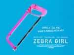 Watch Zebra Girl Myflixer