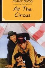 Watch At the Circus Myflixer
