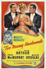 Watch Too Many Husbands Myflixer
