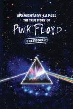 Watch Pink Floyd: Momentary Lapses - The True Story Of Pink Floyd Myflixer