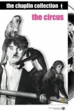 Watch The Circus Myflixer